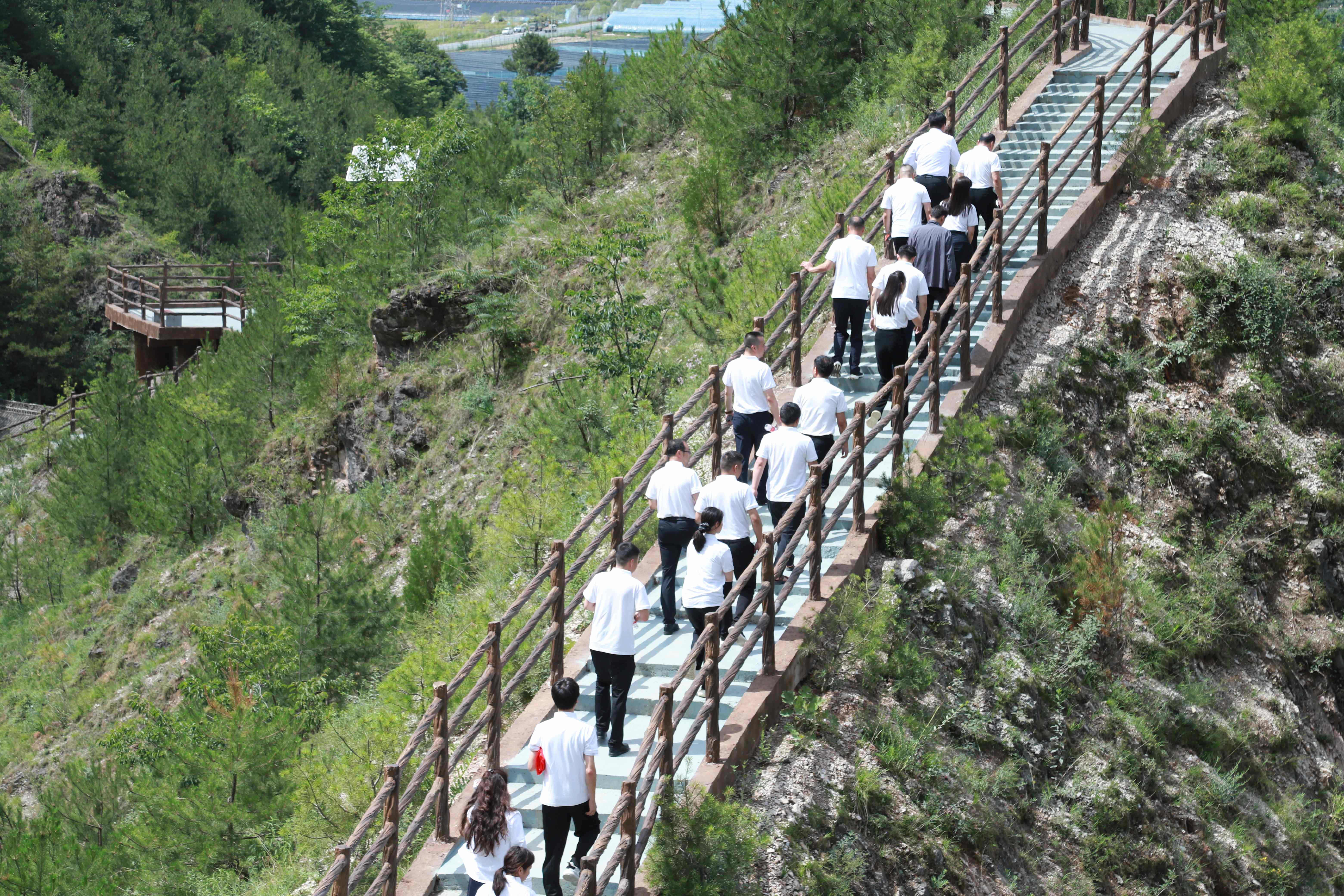 1751508597.jpg 9.JPG