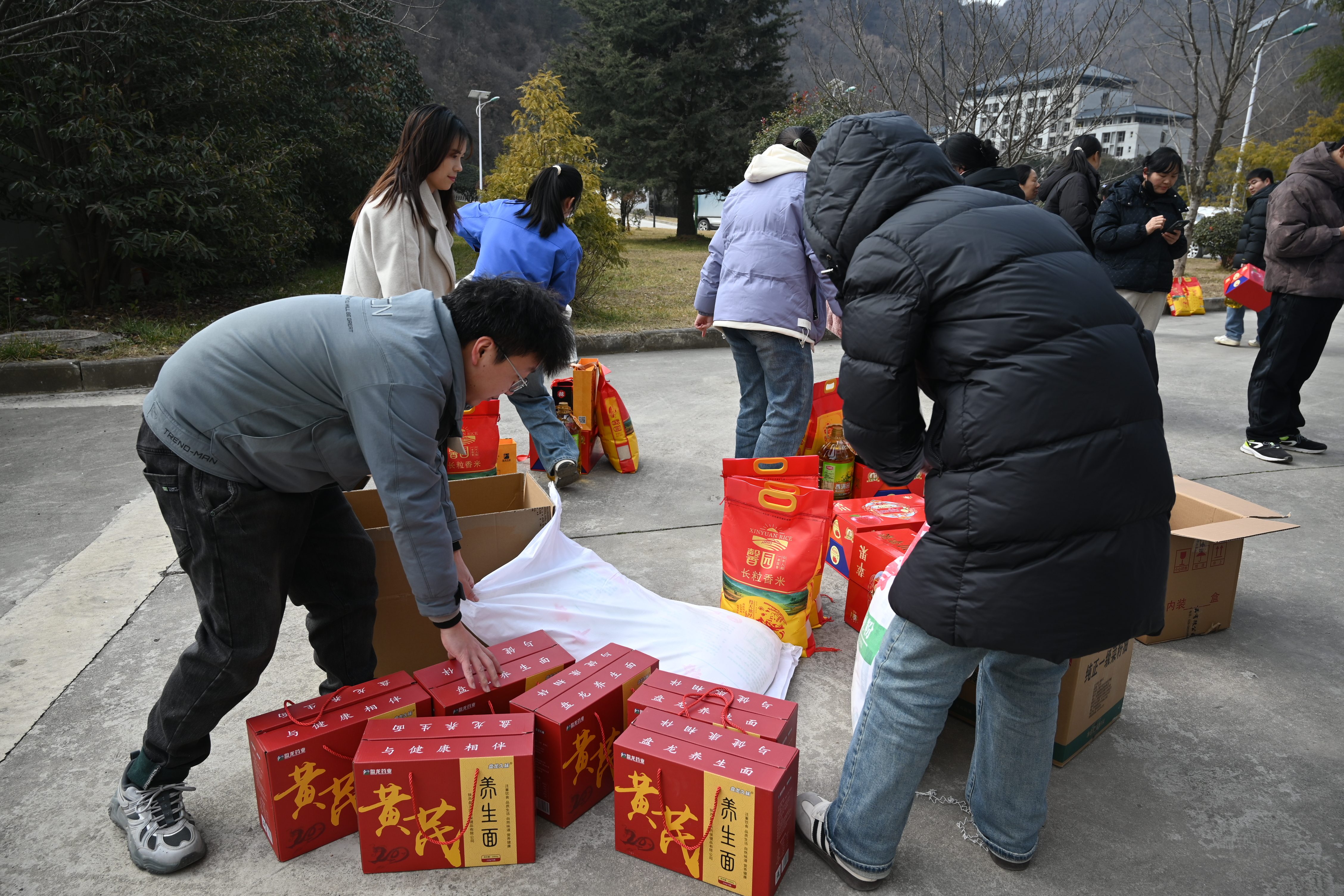 1772522241.jpg 26.jpg